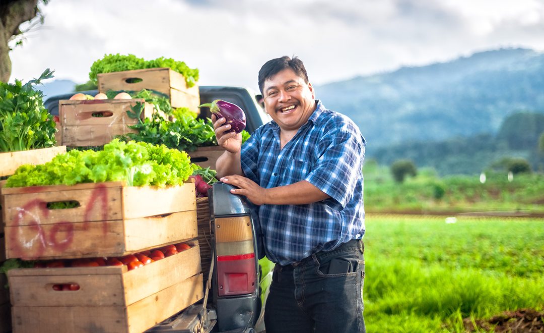 Resilient Food Production in Latin America